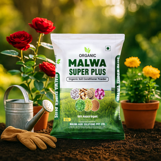 Malwa Super Plus – Organic Soil Conditioner Powder